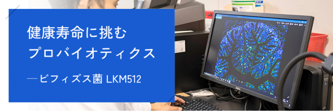 ビフィズス菌LKM512